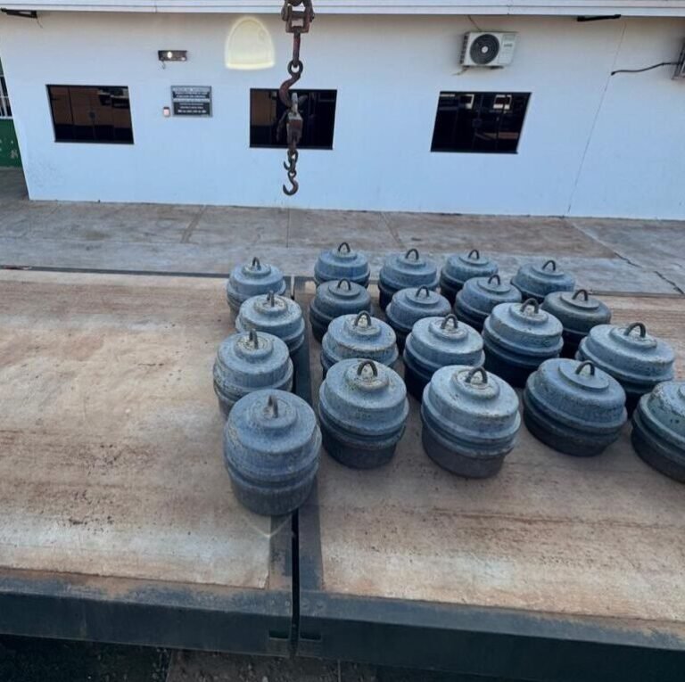 Calibração RBC de 1mg até 180t